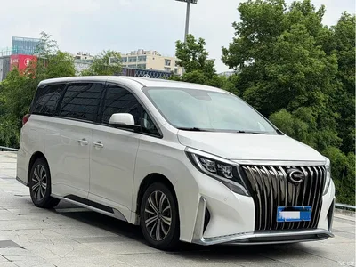 2020 GAC Trumpchi Trumpchi M8 Master Edition 390T Premium, фото 3, лот 10419889