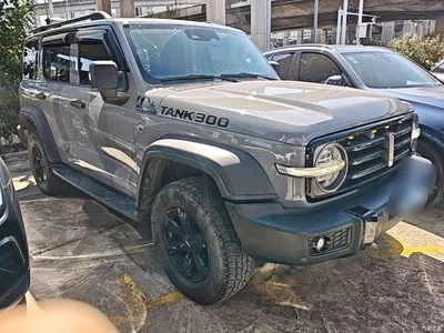 2021 Tank 300 Off-road Version 2.0T Conqueror, фото 4, лот 11545991