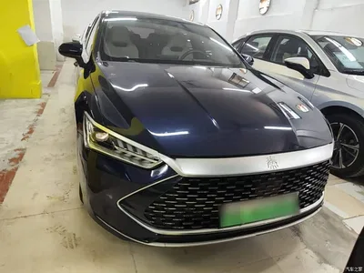 2023 BYD Qin PLUS Champion Edition DM-i 55KM Leading, фото 3, лот 10362765