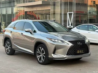 2020 Lexus RX Facelift 300 AWD Elegance Edition, фото 1, лот 10318190