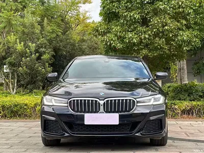 2022 BMW 5 Series Model Third Facelift 530Li Premium M Sport Package, фото 2, лот 11508752