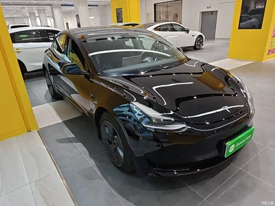 2022 Tesla Model 3 Model Rear-Wheel Drive Version, фото 4, лот 10955283