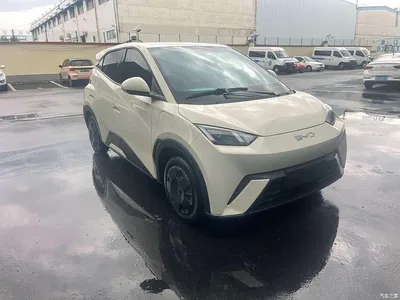 2024 BYD Seagull Glory Edition 305km Vitality Edition, фото 3, лот 10257305