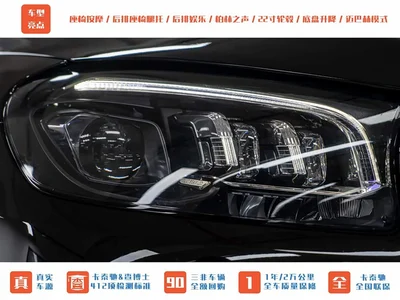 2021 Mercedes-Benz Maybach GLS GLS 480 4MATIC, фото 3, лот 10255665