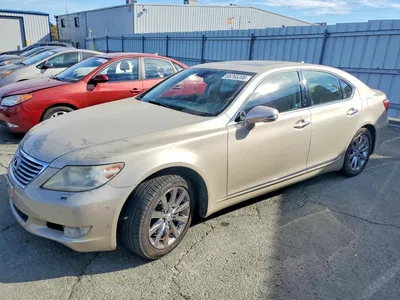 2011 LEXUS LS 460, фото 1, лот 10845369