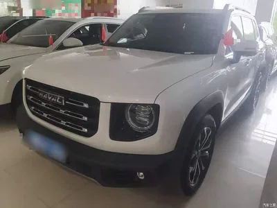 2021 Haval Big Dog 1.5T DCT 2WD Border Collie - Wangcai Edition, фото 1, лот 11196346