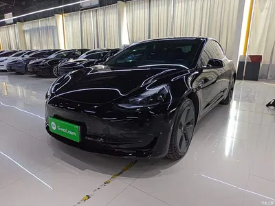2022 Tesla Model 3 Model Rear-Wheel Drive Version, фото 2, лот 10598868