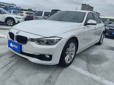 2017 BMW 3 Series 320Li Fashion, фото 1, лот 11408716