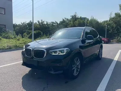 2020 BMW X3 xDrive25i Luxury Package, фото 1, лот 11096589