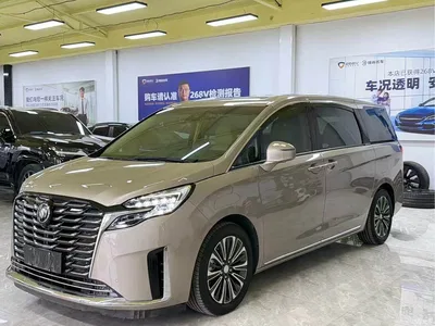 2023 Buick GL8 ES Landmaster Flagship, фото 3, лот 10257552