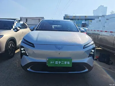 2024 Wuling Motors Wuling Xingguang S 130km Flagship Model, фото 3, лот 10834463
