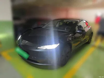 2025 Tesla Model 3 Model Rear-Wheel Drive Edition, фото 1, лот 10370687