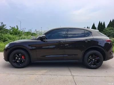 2017 Alfa Romeo Stelvio 2.0T 200HP Elite, фото 3, лот 10239852