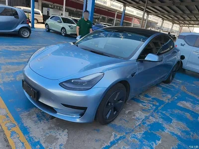 2022 Tesla Model 3 Model Rear-Wheel Drive Version, фото 1, лот 10327348
