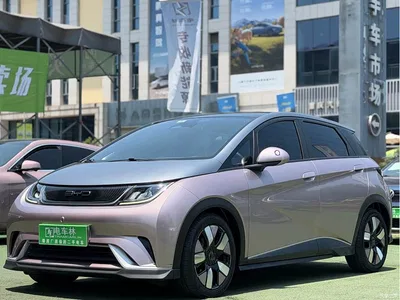 2021 BYD Dolphin 401km Knight Edition, фото 1, лот 10254262