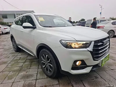 2025 Haval H6 1.5T National Trend Urban Edition, фото 4, лот 11247873