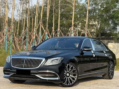 2019 Mercedes-Benz Maybach S-Class S 450 4MATIC, фото 1, лот 10279850