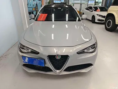 2020 Alfa Romeo Giulia 2.0T 280HP Luxury Edition, фото 2, лот 10391313