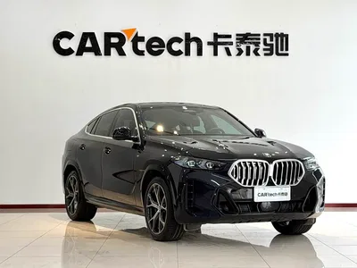 2023 BMW X6 xDrive40i Premium M Sport Package, фото 3, лот 10409107