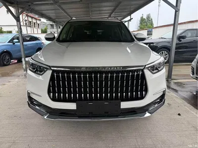 2018 Leopaard Mattu 1.6T GDI DCT Premium Edition, фото 3, лот 11646031
