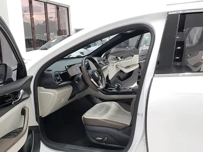 2023 BYD Qin PLUS Champion Edition DM-i 55KM Surpassing, фото 4, лот 10363134