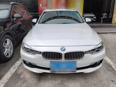 2019 BMW 3 Series 320Li Fashion Type, фото 3, лот 10457543