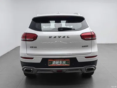 2020 Haval H6 1.5GDIT Automatic Platinum Luxury Edition, фото 4, лот 10842637