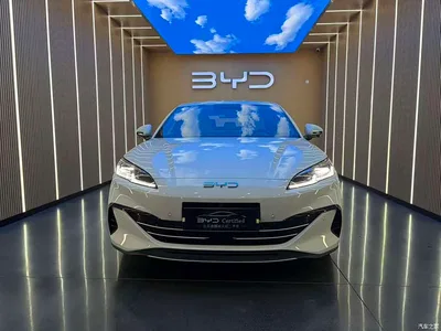 2025 BYD Seal 06 New Energy DM-i Smart Drive Edition 120KM Luxury, фото 2, лот 10326794