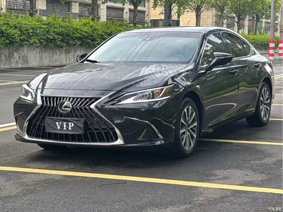 2022 Lexus ES 260 Excellence Edition, фото 1, лот 10313416