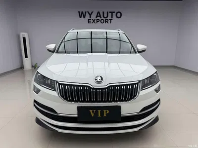 2023 Škoda Karoq TSI280 Premium Edition, фото 2, лот 10348430