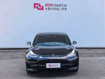 2020 Tesla Model 3 Standard Range Rear-Wheel Drive Upgrade, фото 3, лот 10435299