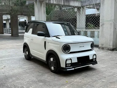 2024 Geely Galaxy Panda 200km Panda Kart, фото 3, лот 11195999