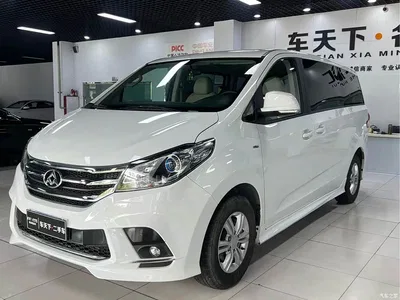 2019 SAIC Maxus Maxus G10 PLUS 2.0T Auto Executive China VI, фото 1, лот 11160687