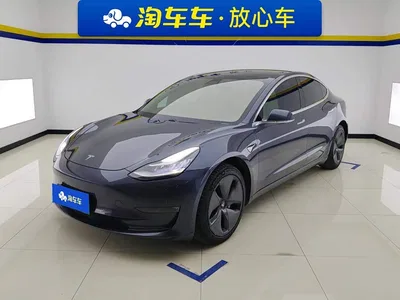 2020 Tesla Model 3 Long Range Rear-Wheel Drive, фото 1, лот 10355661