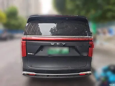 2023 WEY Alpine AWD Executive Long Wheelbase, фото 3, лот 11408010