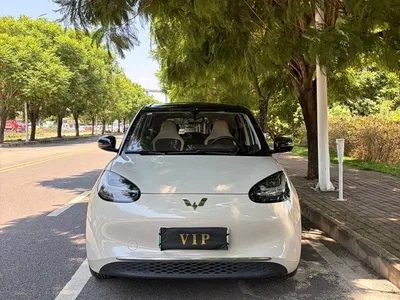 2024 Wuling Motors Wuling Bingo 333km Comfort Edition, фото 2, лот 10367824