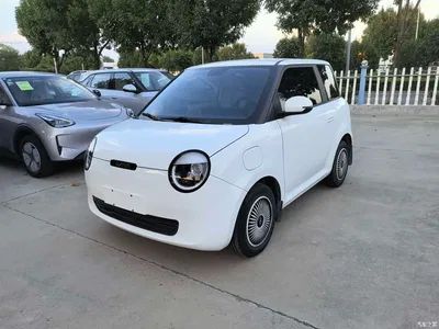 2024 Changan Qiyuan Changan Lumin 130km QingYue Edition, фото 1, лот 10407805