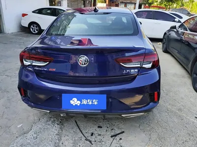 2021 Buick Regal GS 28T Elite Model, фото 4, лот 10250737
