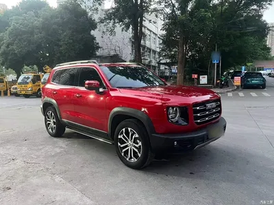 2021 Haval Big Dog 1.5T DCT 2WD Border Collie - Wangcai Edition, фото 4, лот 10361272