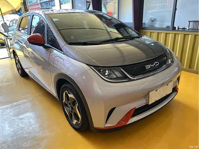 2021 BYD Dolphin Model 405km Fashion Edition, фото 3, лот 10257625