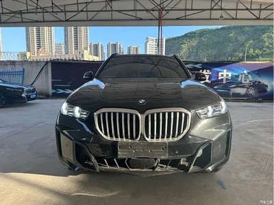 2024 BMW X5 xDrive 40Li Exclusive Black Flame Limited Edition, фото 2, лот 10463263