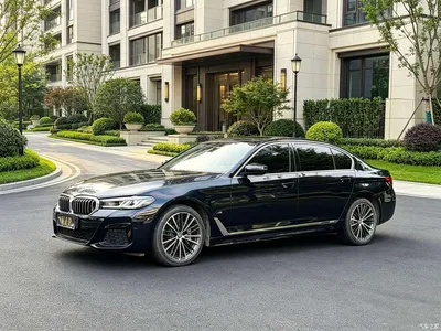 2023 BMW 5 Series 530Li Leading M Sport Package, фото 1, лот 10955308