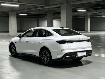 2025 BYD Seal 06 New Energy DM-i Smart Drive Edition 120KM Luxury, фото 3, лот 11088451