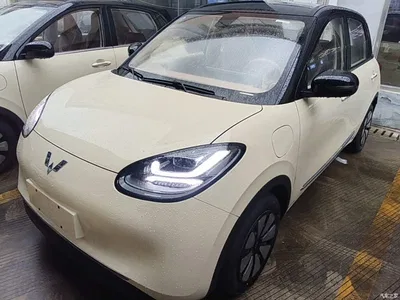 2025 Wuling Motors Wuling Bingo Model 333km Joy Edition, фото 1, лот 10369116
