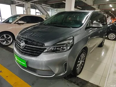 2021 Buick GL8 Land Business Class 652T Luxury, фото 1, лот 11243129