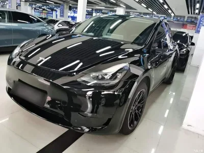 2023 Tesla Model Y Rear-Wheel Drive Edition, фото 1, лот 10369954