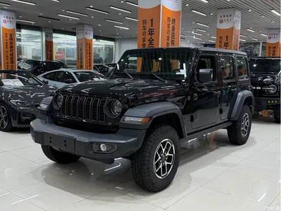 2024 Jeep Wrangler 2.0T Rubicon 4-door, фото 1, лот 11192248
