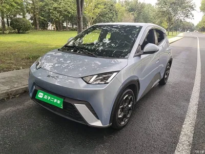 2024 BYD Seagull Glory Edition 305km Freedom Edition, фото 2, лот 11195441