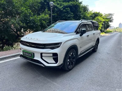 2023 Geely Radar Radar Horizon 550km Enjoyment Edition, фото 1, лот 11155698