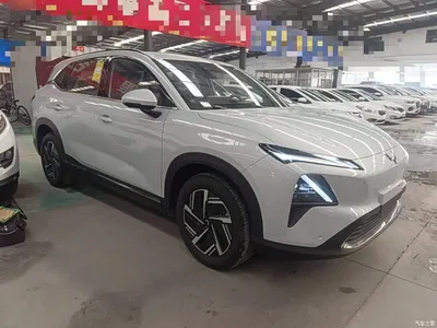 2024 Wuling Motors Wuling Xingguang S 130km Flagship Model, фото 4, лот 10833559